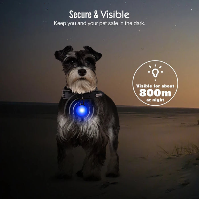 Spoiled Brat™ LunaGlow Luxury LED Safety Collar