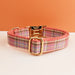 Spoiled Brat™ Personalized Plaid Dog Collar – Custom Engraved - view 4 | Spoiled Brat