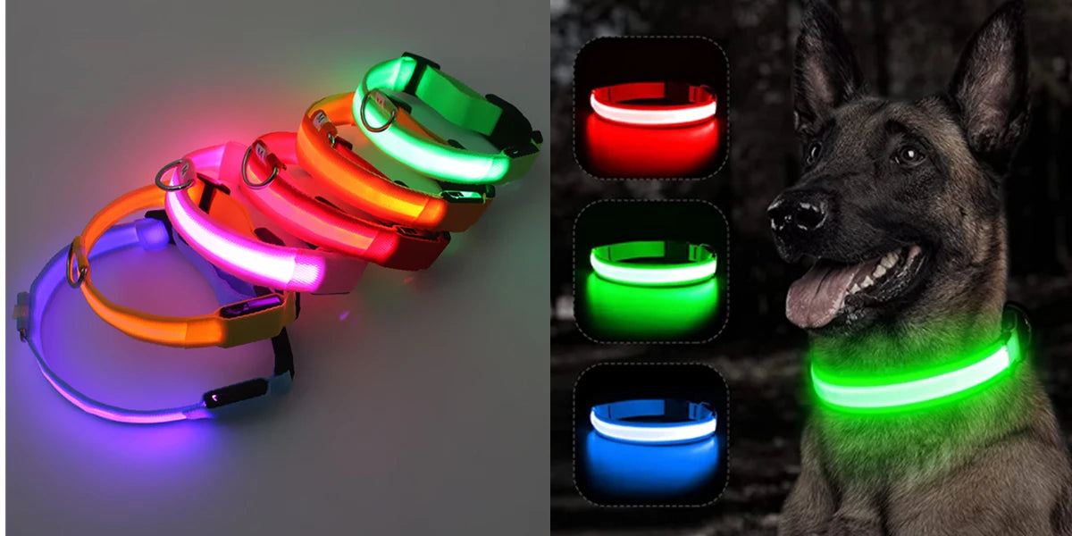 Spoiled Brat™ LunaGlow Luxury LED Safety Collar