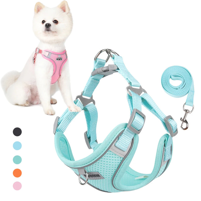 Spoiled Brat™ Breathable Mesh Dog Harness & Leash Set