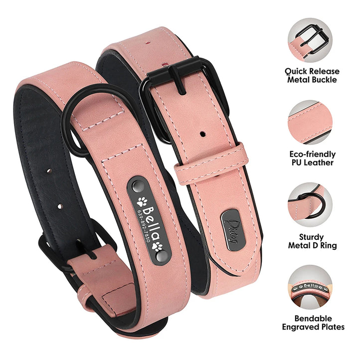 Spoiled Brat™ Personalized Dog Collar – Soft Padded Engraved ID Collar