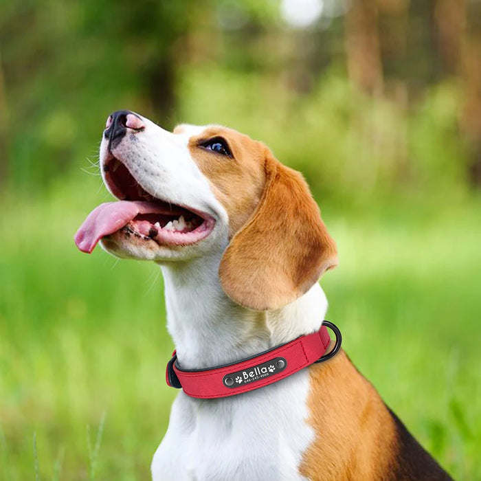 Spoiled Brat™ Personalized Leather Dog Collar – Custom Engraved - view 19 | Spoiled Brat