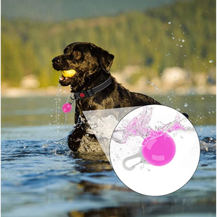 Spoiled Brat™ LunaGlow Luxury LED Safety Collar