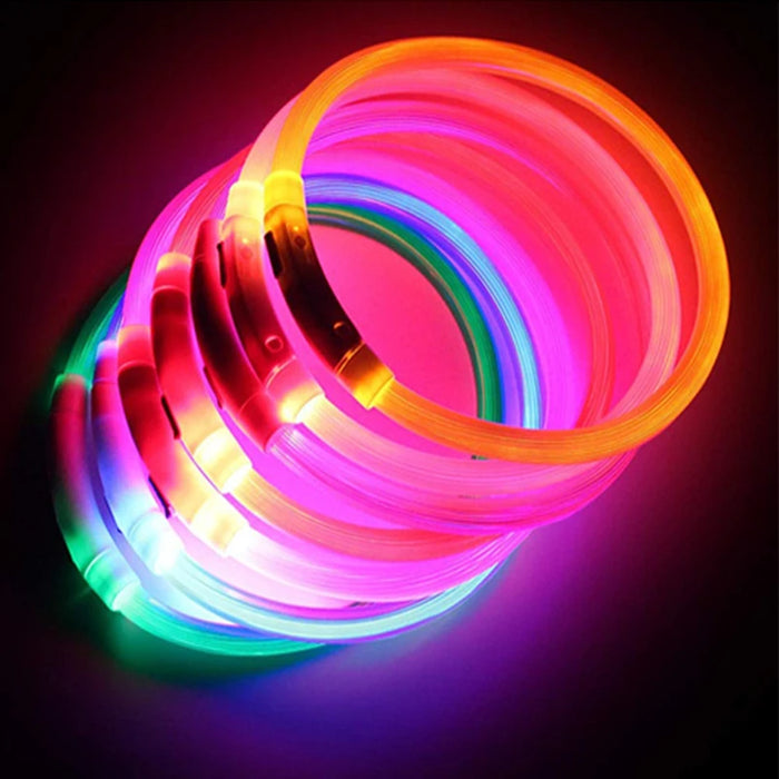 Spoiled Brat™ GlowGuard USB Rechargeable LED Collar