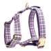 Spoiled Brat™ Plaid Collar, Bow Tie & Leash Bundle – Engraved - view 25 | Spoiled Brat