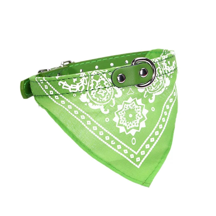 Spoiled Brat™ BellaBand Designer Scarf Collar