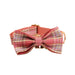 Spoiled Brat™ Plaid Collar, Bow Tie & Leash Bundle – Engraved - view 30 | Spoiled Brat
