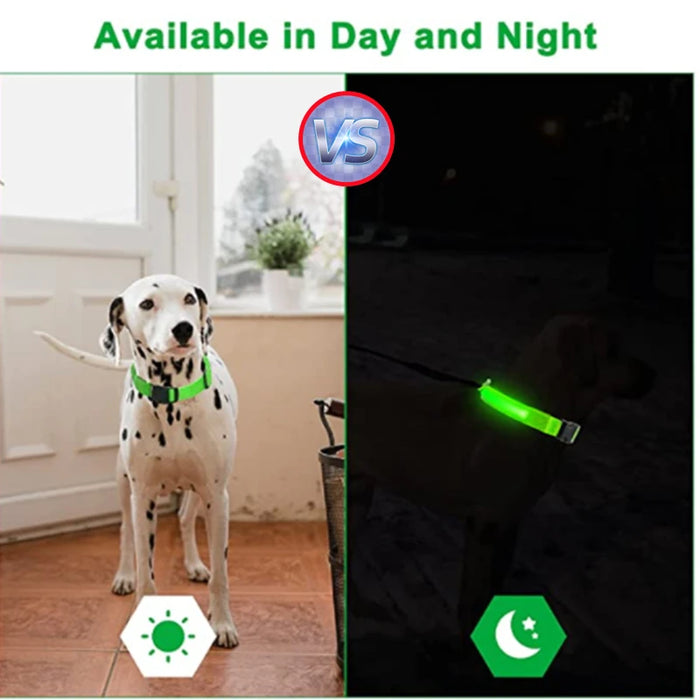 Spoiled Brat™ GlowGuard USB Rechargeable LED Collar
