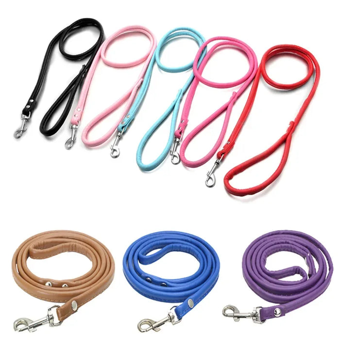 Spoiled Brat™ Adventure Pup Leash