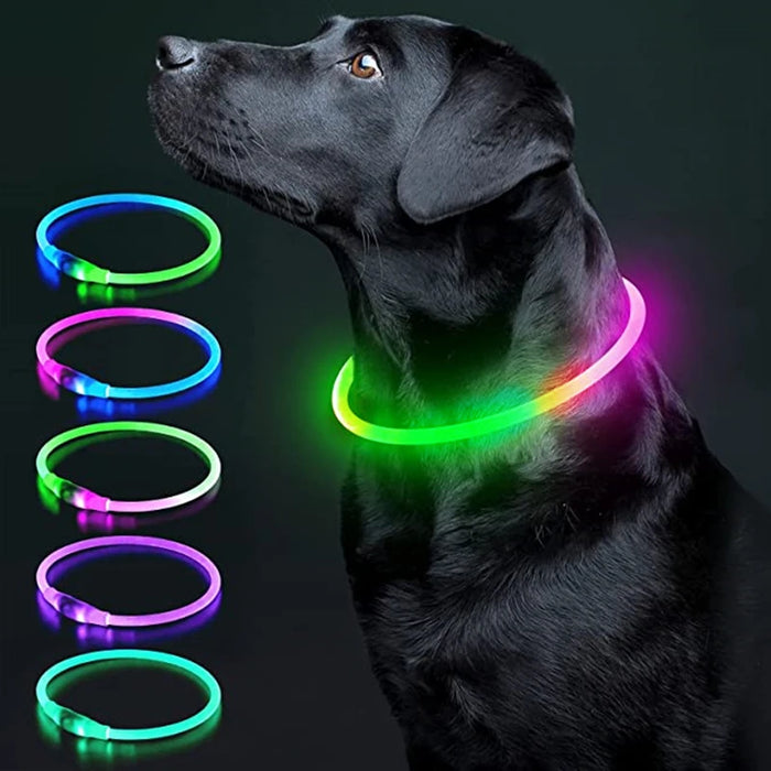 Spoiled Brat™ GlowGuard USB Rechargeable LED Collar
