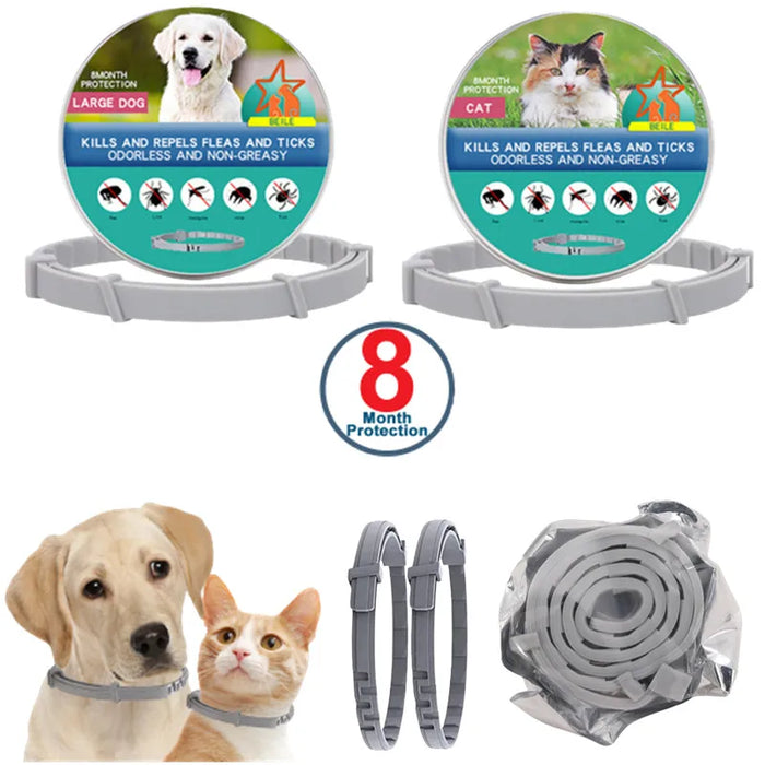 Spoiled Brat™ GlowGuard USB Rechargeable LED Collar