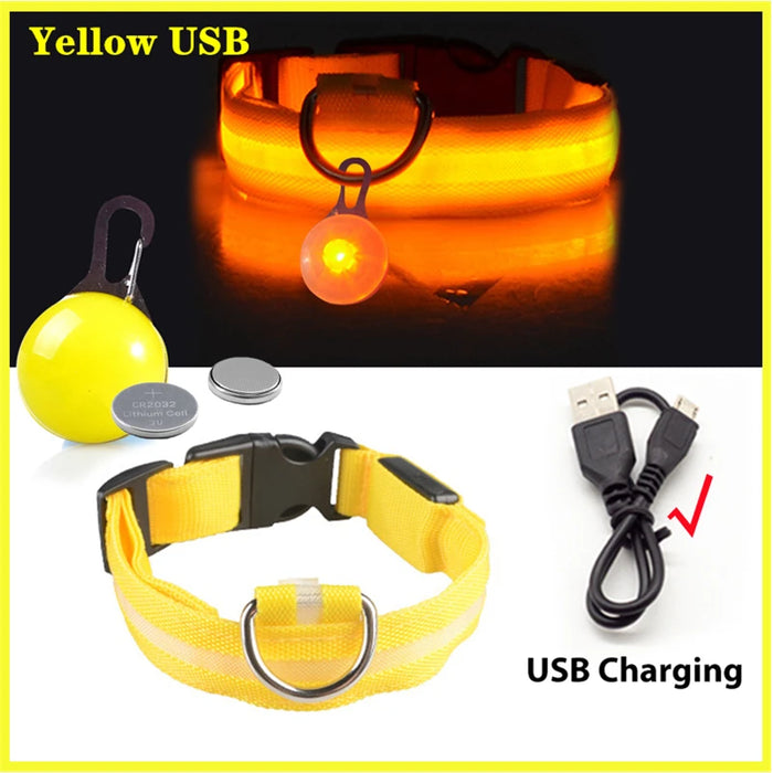 Spoiled Brat™ LunaGlow Luxury LED Safety Collar