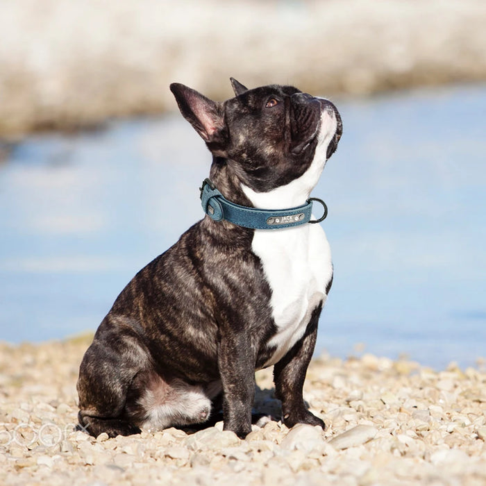Spoiled Brat™ Personalized Dog Collar – Soft Padded Engraved ID Collar
