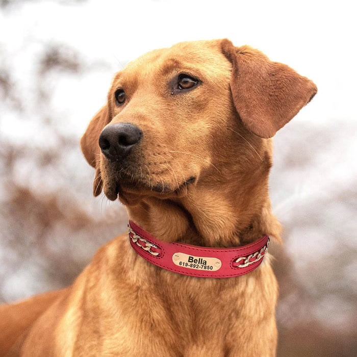 Spoiled Brat™ Heritage Leather Collar - view 20 | Spoiled Brat
