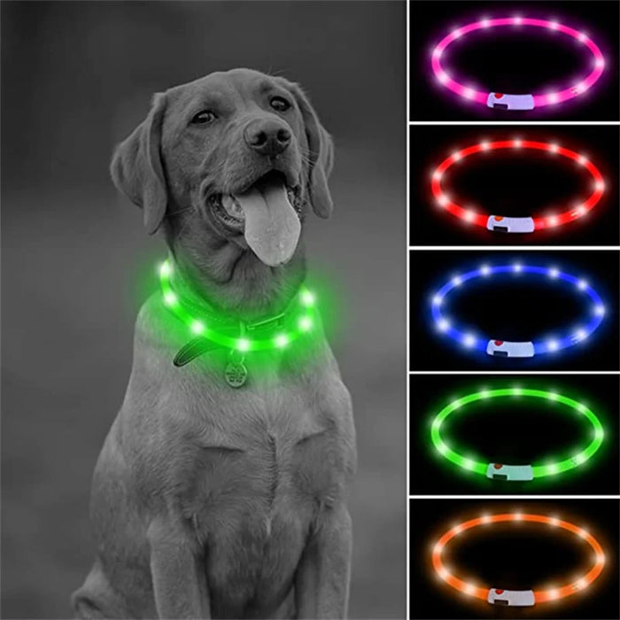 Spoiled Brat™ GlowGuard USB Rechargeable LED Collar