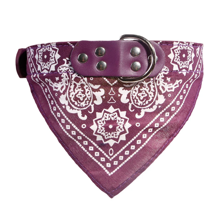 Spoiled Brat™ BellaBand Designer Scarf Collar