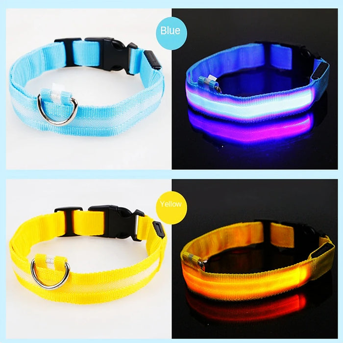 Spoiled Brat™ GlowGuard USB Rechargeable LED Collar