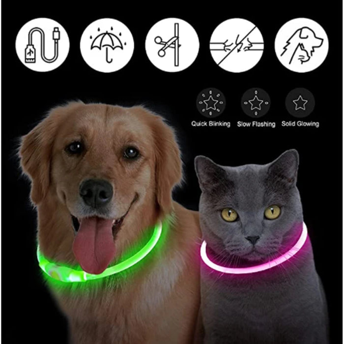 Spoiled Brat™ GlowGuard USB Rechargeable LED Collar