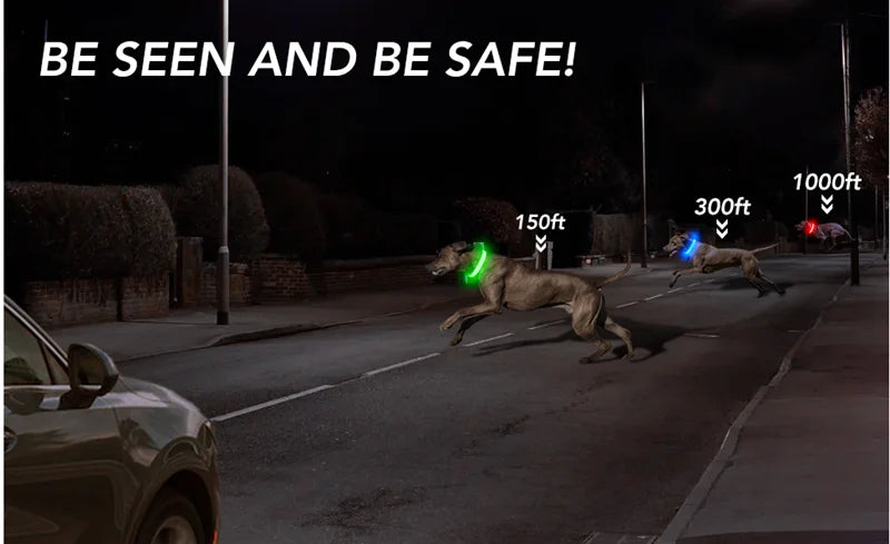 Spoiled Brat™ LunaGlow Luxury LED Safety Collar