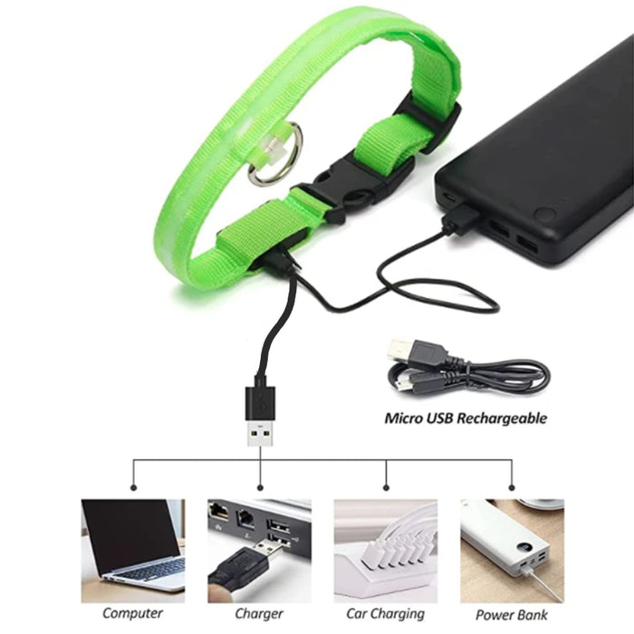 Spoiled Brat™ GlowGuard USB Rechargeable LED Collar