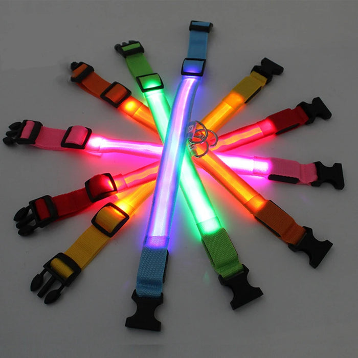 Spoiled Brat™ LunaGlow Luxury LED Safety Collar