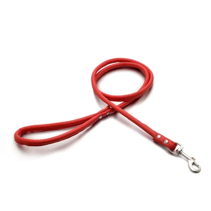Spoiled Brat™ Adventure Pup Leash