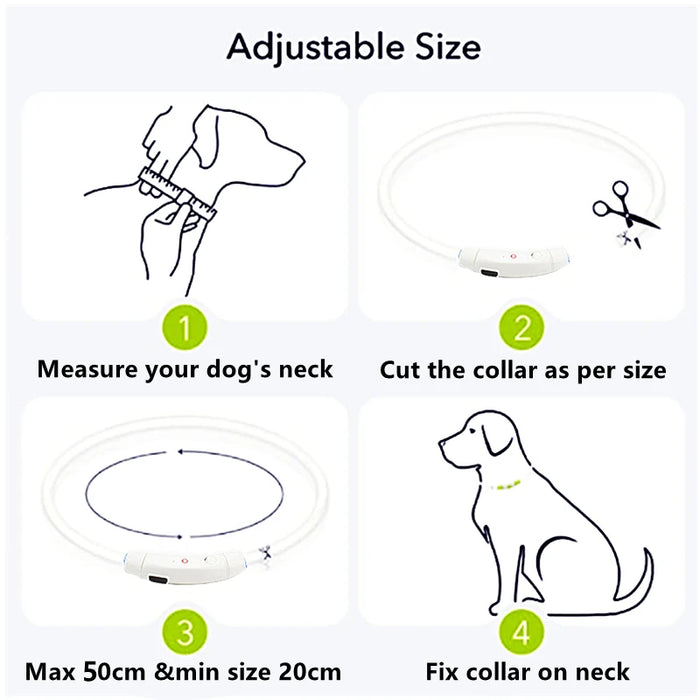 Spoiled Brat™ GlowGuard USB Rechargeable LED Collar
