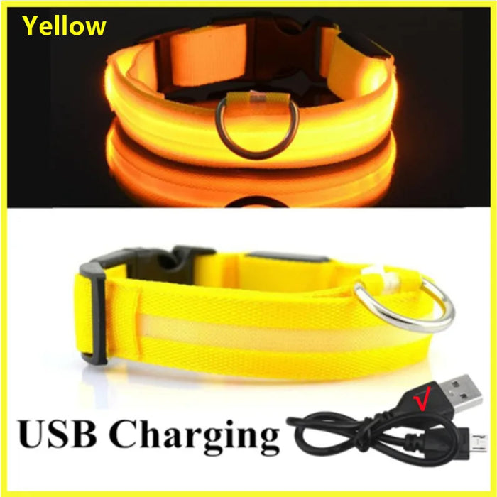 Spoiled Brat™ GlowGuard USB Rechargeable LED Collar