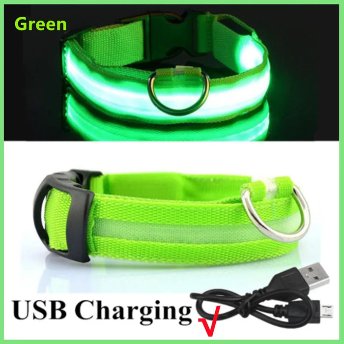 Spoiled Brat™ GlowGuard USB Rechargeable LED Collar