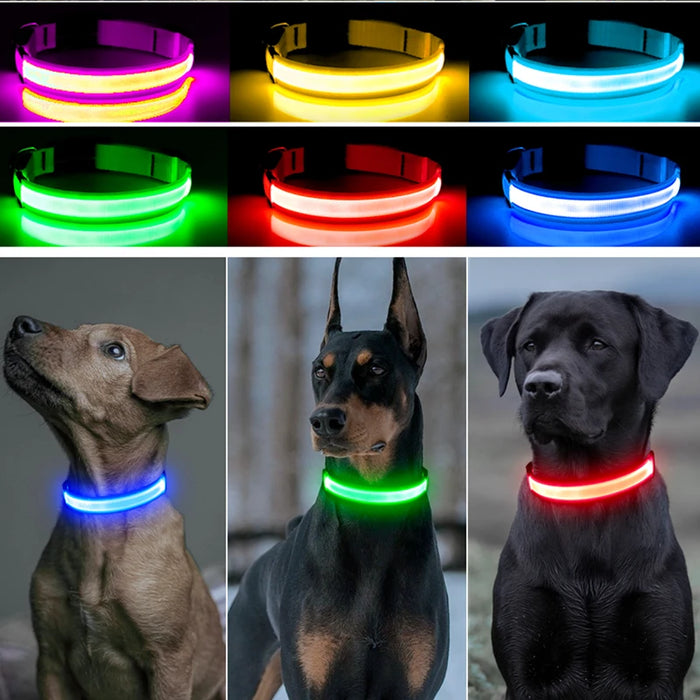 Spoiled Brat™ GlowGuard USB Rechargeable LED Collar