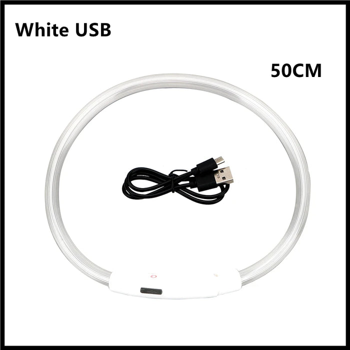 Spoiled Brat™ GlowGuard USB Rechargeable LED Collar