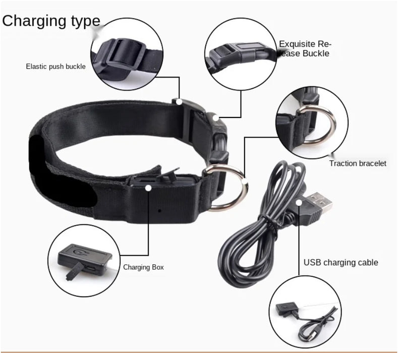 Spoiled Brat™ GlowGuard USB Rechargeable LED Collar