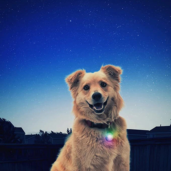 Spoiled Brat™ LunaGlow Luxury LED Safety Collar