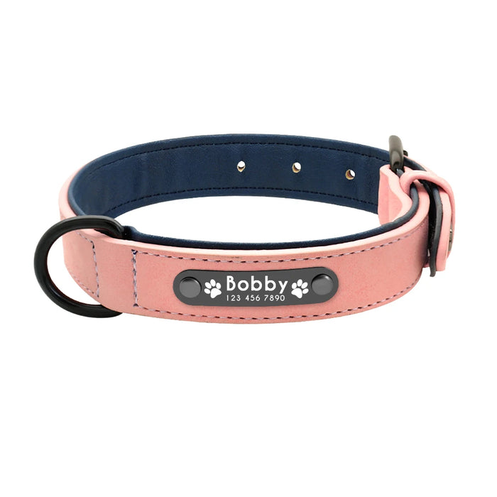 Spoiled Brat™ Personalized Dog Collar – Soft Padded Engraved ID Collar