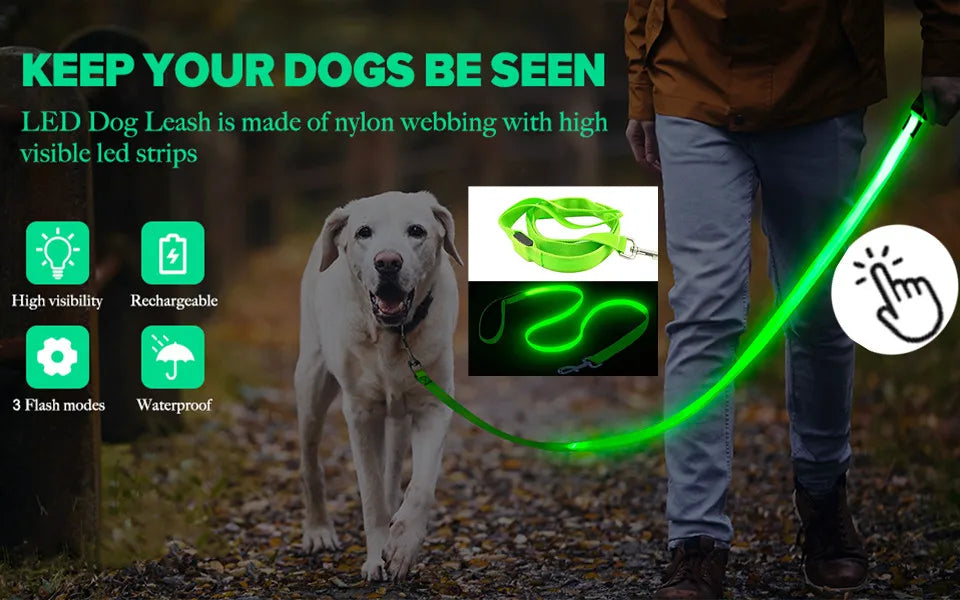 Spoiled Brat™ GlowGuard USB Rechargeable LED Collar