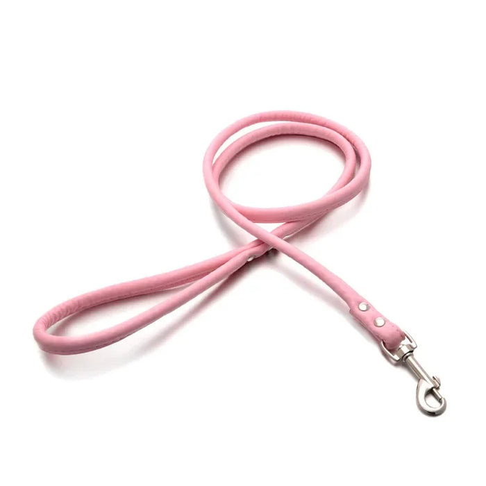 Spoiled Brat™ Adventure Pup Leash
