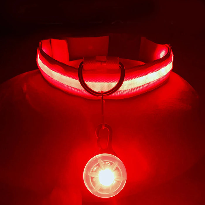 Spoiled Brat™ LunaGlow Luxury LED Safety Collar
