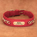 Spoiled Brat™ Heritage Leather Collar - view 23 | Spoiled Brat