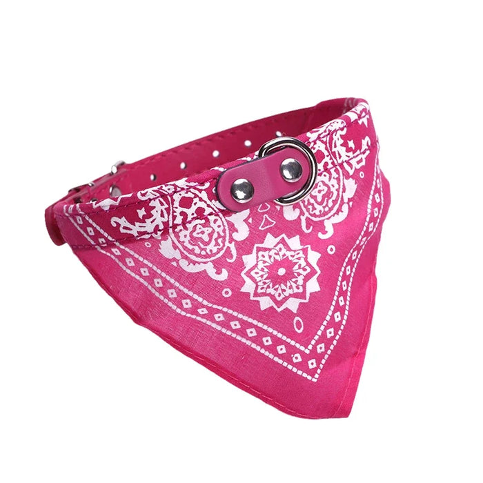 Spoiled Brat™ BellaBand Designer Scarf Collar