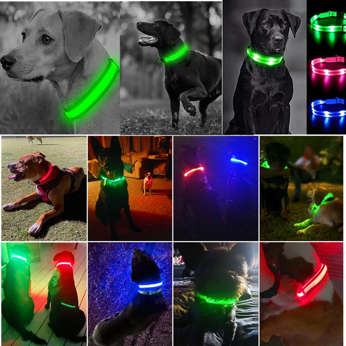 Spoiled Brat™ LunaGlow Luxury LED Safety Collar