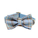 Spoiled Brat™ Plaid Collar, Bow Tie & Leash Bundle – Engraved - view 28 | Spoiled Brat