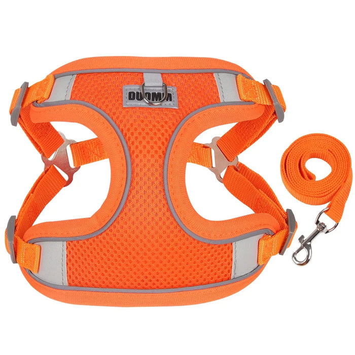 Spoiled Brat™ Breathable Mesh Dog Harness & Leash Set