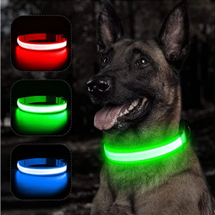 Spoiled Brat™ GlowGuard USB Rechargeable LED Collar
