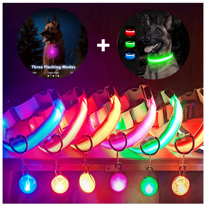 Spoiled Brat™ LunaGlow Luxury LED Safety Collar