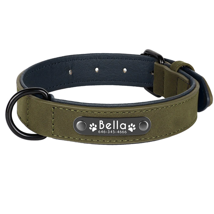 Spoiled Brat™ Personalized Dog Collar – Soft Padded Engraved ID Collar