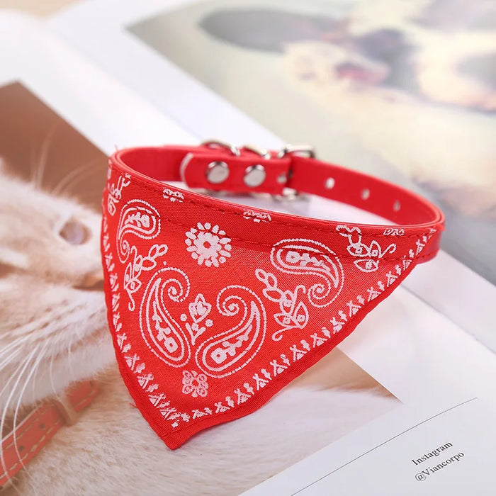 Spoiled Brat™ BellaBand Designer Scarf Collar