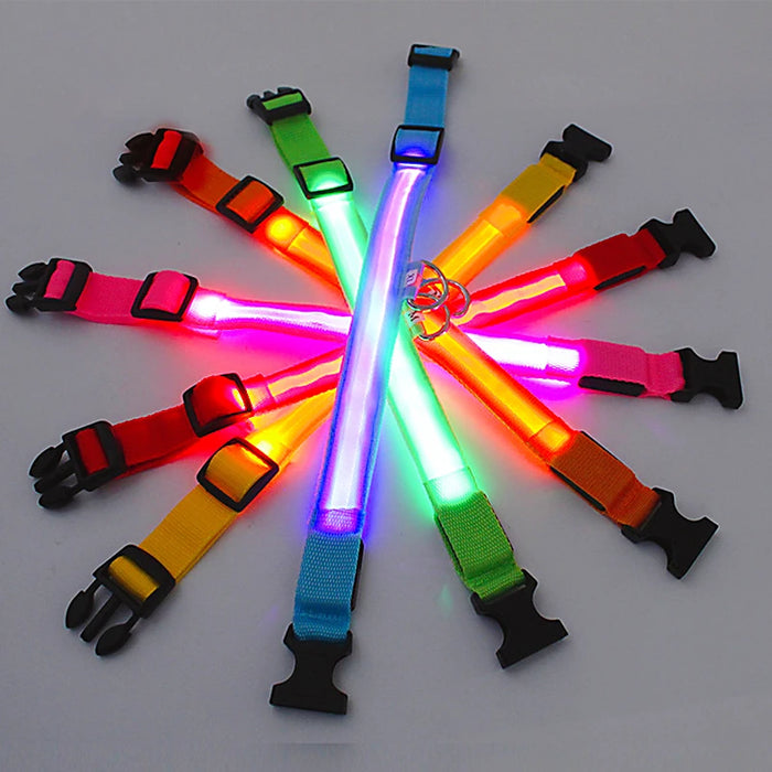 Spoiled Brat™ GlowGuard USB Rechargeable LED Collar