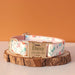 Spoiled Brat™ Personalized Puppy ID Collar Bands – Whelping Set - view 7 | Spoiled Brat