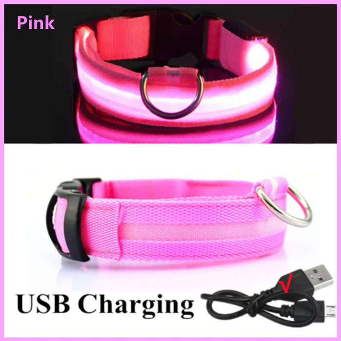 Spoiled Brat™ GlowGuard USB Rechargeable LED Collar