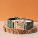 Spoiled Brat™ Personalized Puppy ID Collar Bands – Whelping Set - view 5 | Spoiled Brat